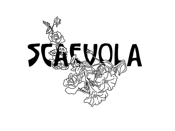 Scaevola 'Maior Arcana' Tarot 